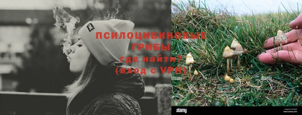 бутират Елабуга