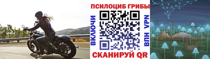 Псилоцибиновые грибы Magic Shrooms  Купить  Краснознаменск 